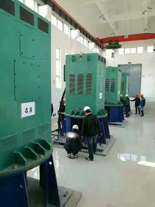 宕昌某污水处理厂使用我厂的立式高压电机安装现场